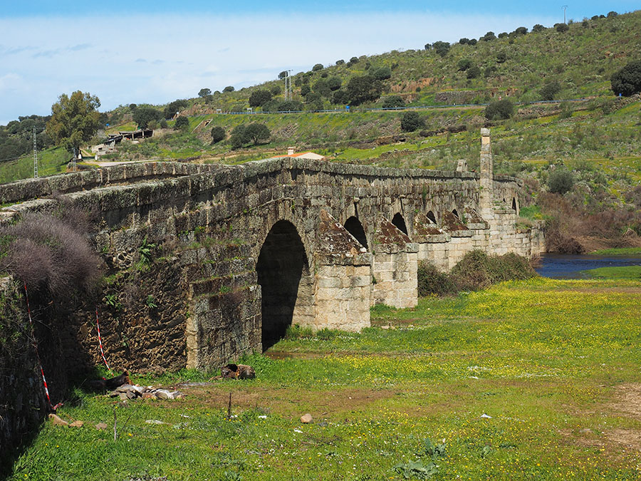 15e eeuwse brug over de Almonte, omgeving Jaraicejo - de oudste van de drie bruggen aldaar